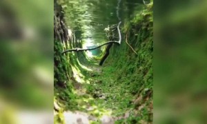 என்ன அழகு !