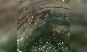 இது தான் மனிதநேயம் !