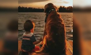 என்ன ஒரு அழகு !!