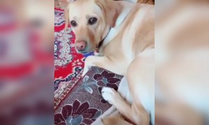 என்னமா நடிக்குது !!