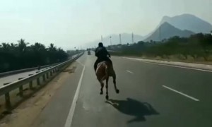 குதிரை சவாரி பண்ணலாமா !