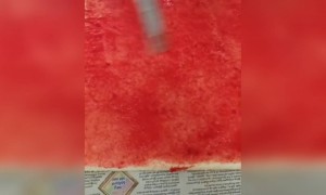 இது யாருக்கு எல்லாம் புடிக்கும் !