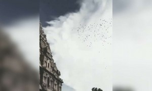 தஞ்சை பெரிய கோவில் !