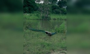 இலங்கையின் அழகு !