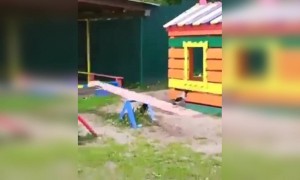 சிங்கிள் பசங்க !!!