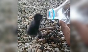 மனிதநேயம் !