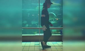 அட மைக்கல் ஜாக்சனா இது !!