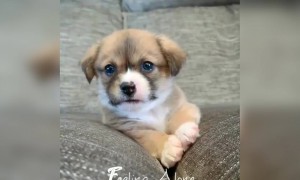 அழகா இருக்குல்ல !!