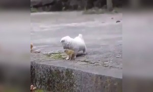 என் நெஞ்சில் !!