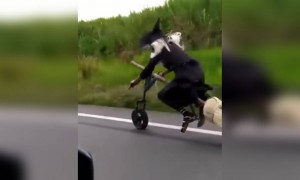 என்னடா பைக் இது !!!