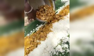 யாரு சாமி இவங்க !!