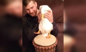 எப்புடி !!