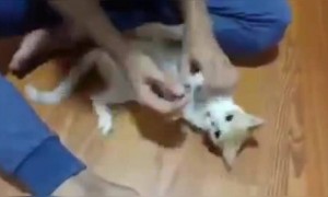 அந்த பயம் இருக்கட்டும் !!