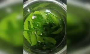 என்னடா இது !