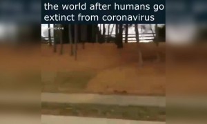 மனுஷங்க யாரும் இல்லைனா !!