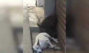 நான் பாட்டுக்கு சிவனேன்னு இருந்த !!