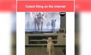 அந்த பயம் இருக்கட்டும் !!!!