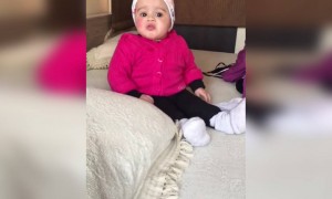 என்ன அழகு !!!!!