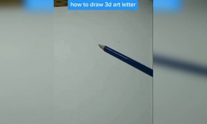 3d ஓவியம் !!