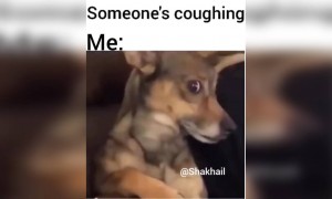 பயம் இருக்காதா பின்ன!!