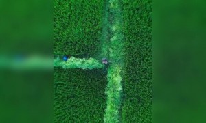 அந்த விண்ணில் ஆனந்தம் !!