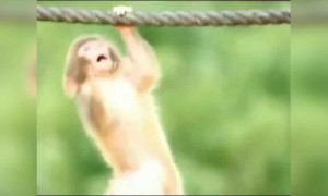 நல்லா இருக்கே !!