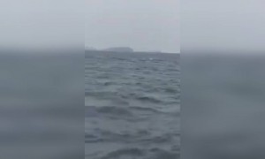 நடு கடலில் யானை!