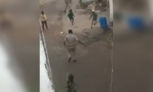 வாத்தி ரெய்டு !!!!!!