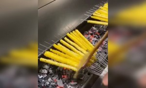 இந்த ஐடியா நல்ல இருக்கே !