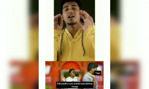 பைத்தியம் போல