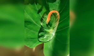 நம்ம நிலைமை !!