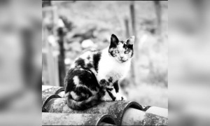 எப்புடி !