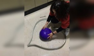 இது நல்லா இருக்கே !!