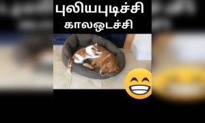 என்ன ஒரு சோதனை !