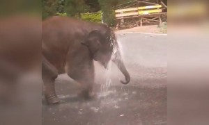 ஜாலி குளியல் !!