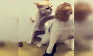 என்ன லுக்கு