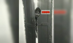 அடேய் ! பங்கம் !