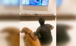 நடிகர் சதிஷ் நிலைமையை பாருங்க !!