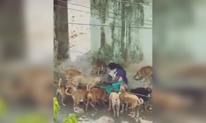 அதுக்கும் பசிக்கும் !! கொஞ்சம் நீங்களும் இதேமாரி கொஞ்ச ஹெல்ப் பண்ணுங்க !!