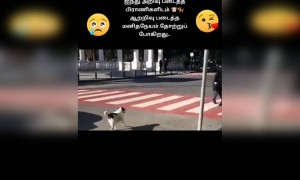 மனிதநேயம் !!