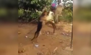 உண்மையான பாசம் !!