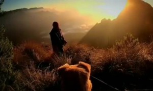 உண்மையான நண்பன் இது தான் போல !!