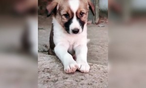 அழகு ! அழகு !