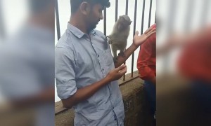 500 ரூபா போச்சே !!