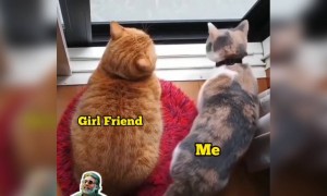 வந்துட்டான்ல !!