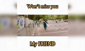 நட்பு !!!!!