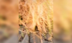 எப்படி எல்லாம் போட்டோ எடுக்கறாங்க !