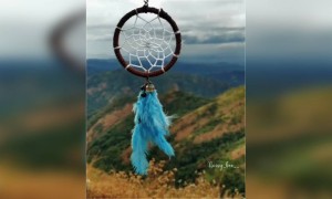 அழகா இருக்குல்ல !!!