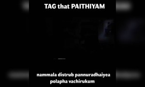 பைத்தியம் !!!!!!