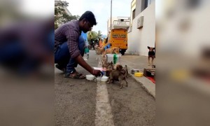 மனிதம் இன்னும் உயிரோட இருக்கு !